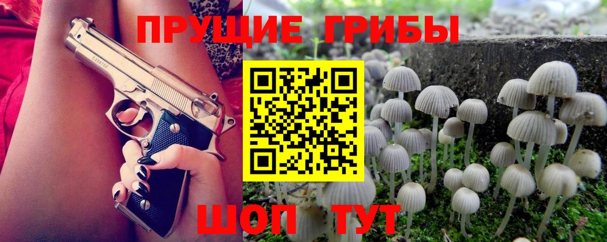 Псилоцибиновые грибы мицелий Зеленодольск